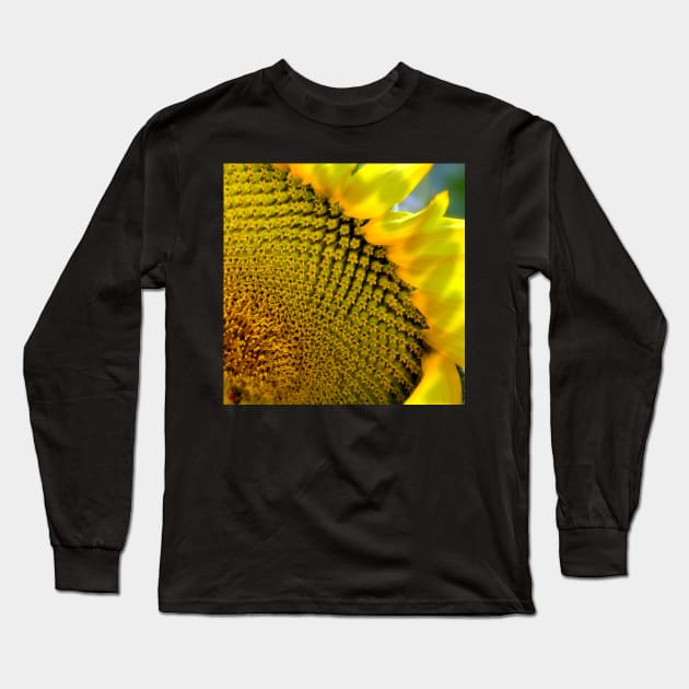 Sunflower Long Sleeve T-Shirt by RufderFreiheit